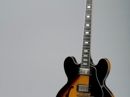 La chitarra semiacustica: caratteristiche dello strumento e particolarità della scelta