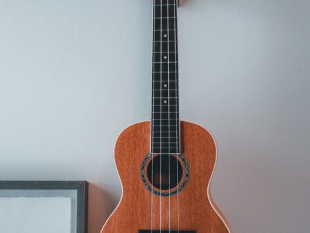 I migliori ukulele 2024