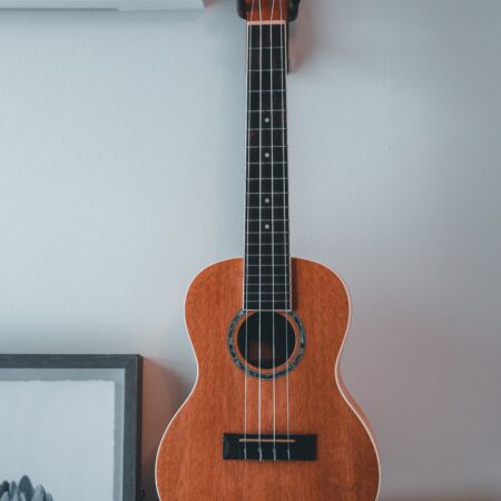 I migliori ukulele 2024