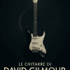 Le chitarre di David Gilmour